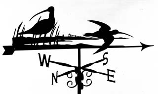 Curlews weathervane