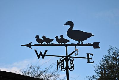Duck and ducklings weathervane