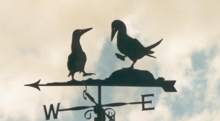 Bluefooted boobies weather vane