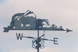 Badgers weathervane