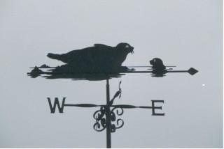 Seals weather vane