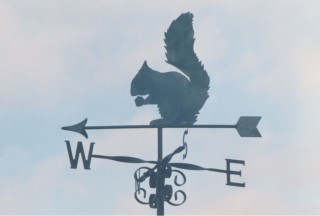 Squirrel weathervane