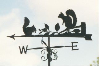 Squirrels weathervane