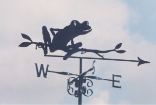 Tree Frog weather vane