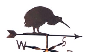 Kiwi weathervane