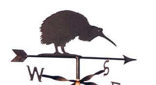 Kiwi weather vane