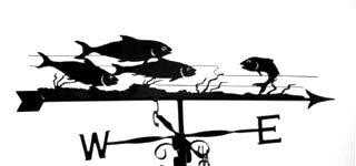 Shoal weather vane