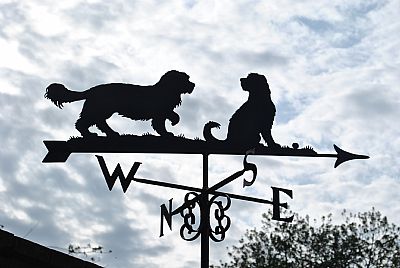 Cockerpoos weathervane