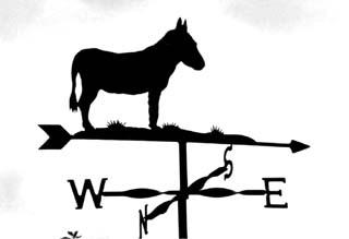 Donkey weather vane