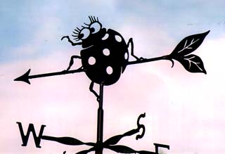 Ladybird weather vane