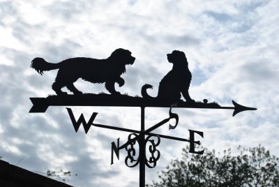 cockerpoos weather vane