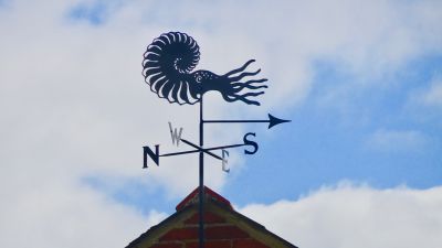 ammonite weather vane