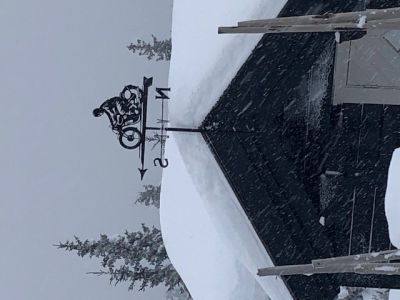 motorcyclist weathervane