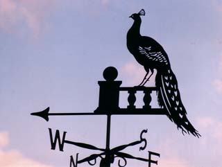 Peacock on Wall weathervane