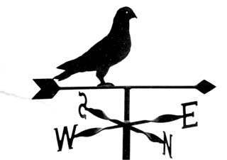 Pigeon weather vane