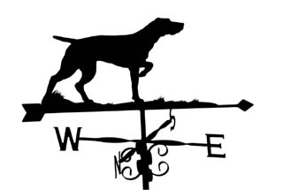 Pointer weather vane