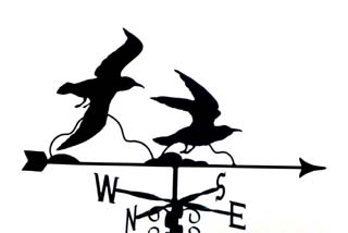 Seagulls weather vane