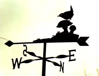 Wren weather vane